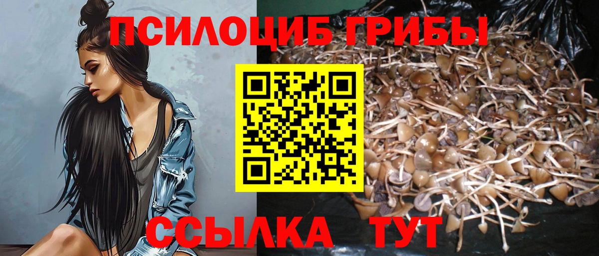 Псилоцибиновые грибы Magic Shrooms  Вход с VPN  Псилоцибиновые грибы Magic Shrooms  Нижнеудинск 